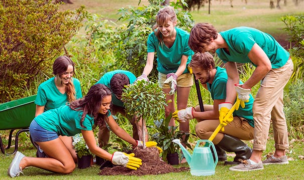 Plantation d´arbres